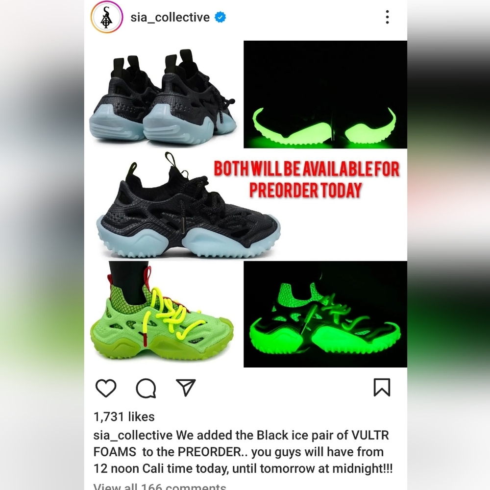 New In Box Vulture Foam